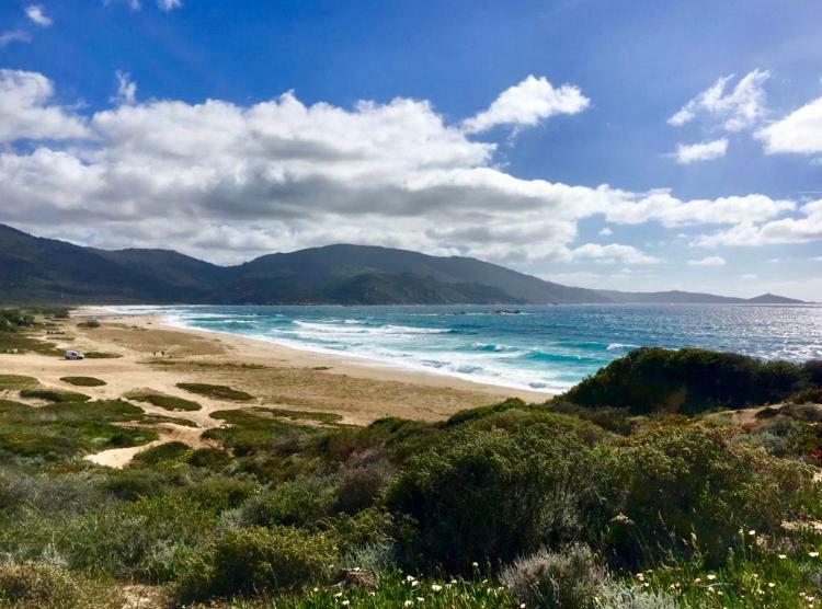 Magnifique Appartement Devant La Plage Propriano  Luaran gambar